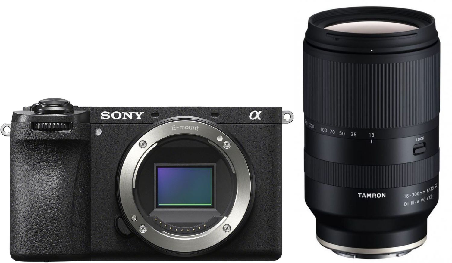 Sony Alpha ILCE-6700 Systeemcamera met Tamron 18-300mm f/3.5-6.3 Lens